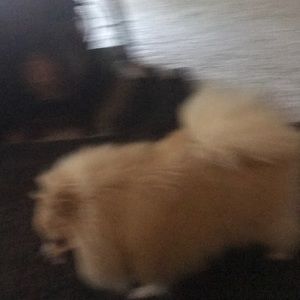 Meet your Posher, Richard